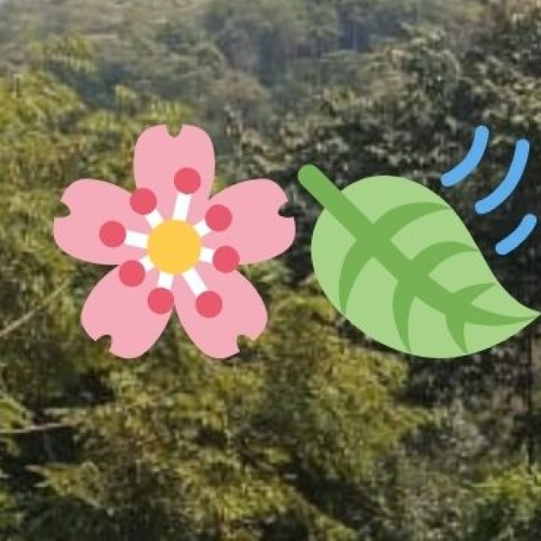 Prospects and Opportunities