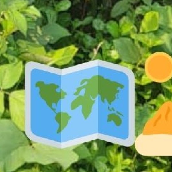 Educational Tourism as a Business Sector