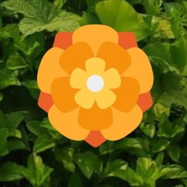 4. Supportive Infrastructure: