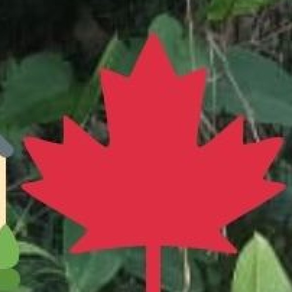 Attractiveness for Educational Tourism