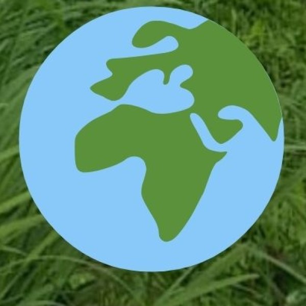 Challenges and Future Outlook: