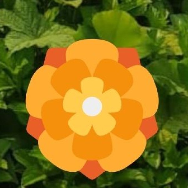 All India Institute of Medical Sciences (AIIMS)