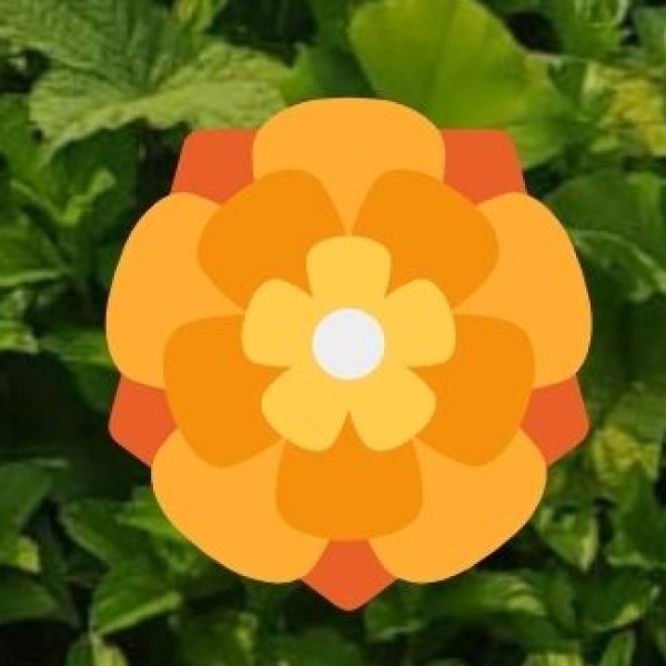 Business Tourism in Telangana