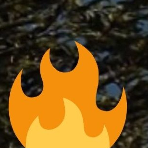 Science City Chennai