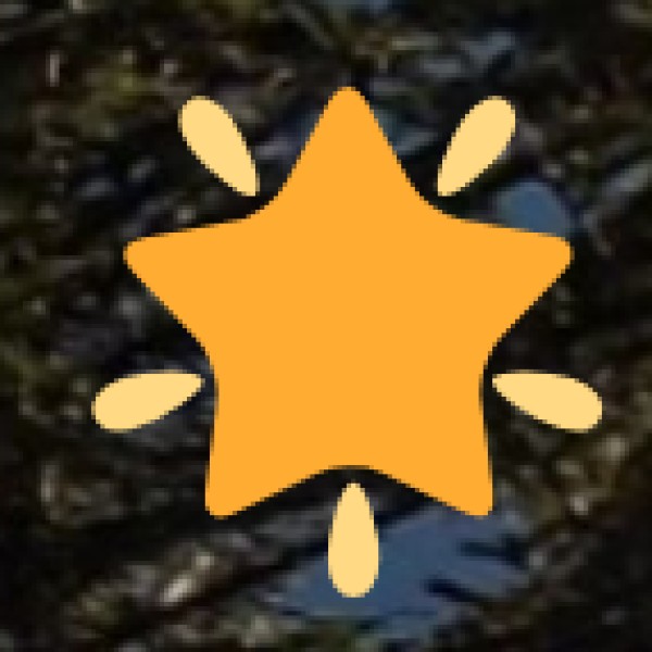 • Nagaland Industrial Development Corporation (NIDC):