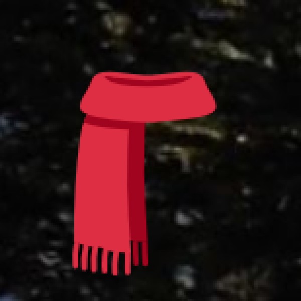 • Handloom and Handicrafts: