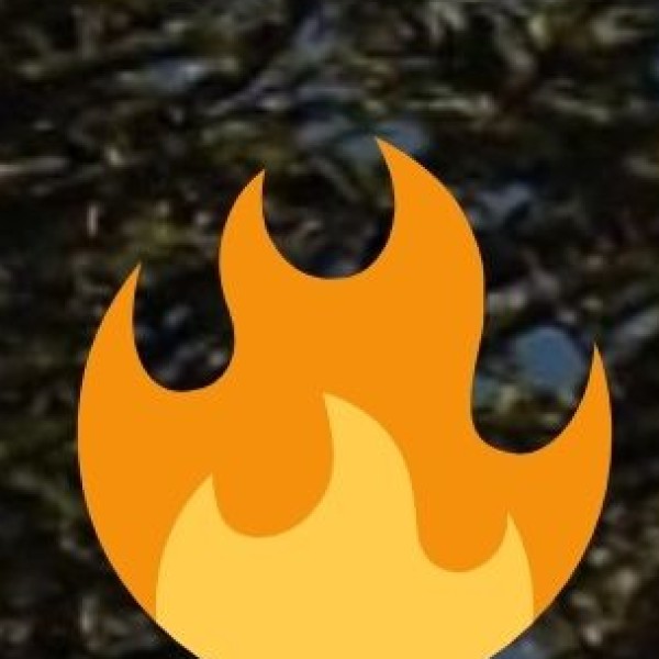 Renewable Energy Sector