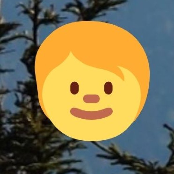 o Anthropology and Sociology: