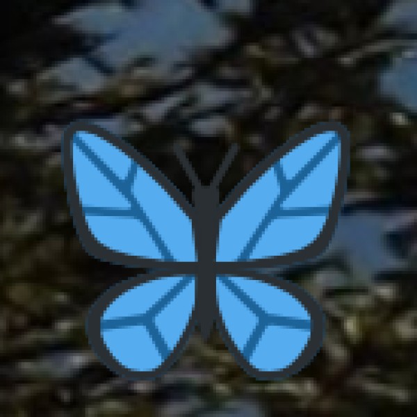 Indian School of Business (ISB), Hyderabad