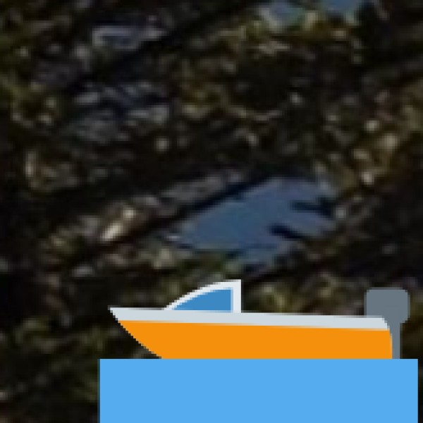 Opportunities & Future Prospects