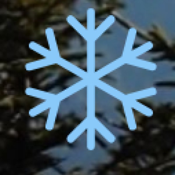 Field Trips and Experiential Learning: