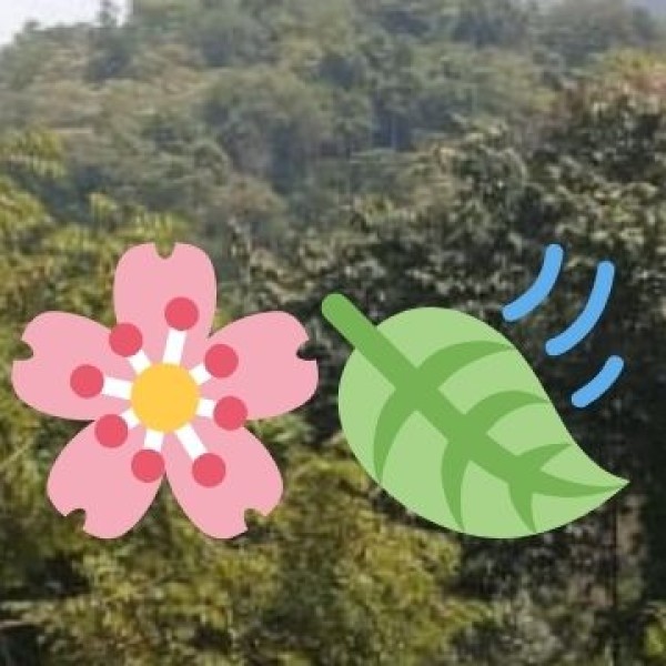 Educational Tourism in J&K