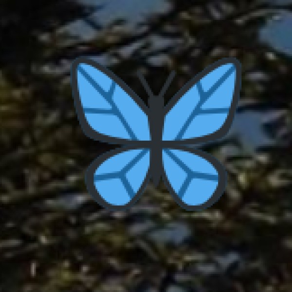 Business & Educational Tourism in Uttarakhand