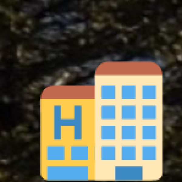 • Hotels with Conference Halls: