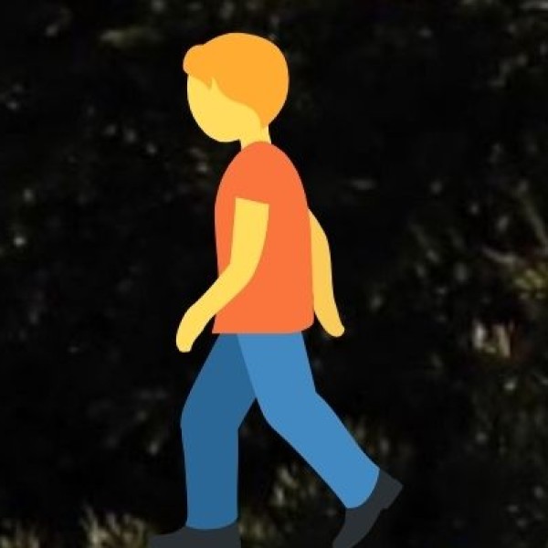 Short-Term Programs & Student Exchanges: