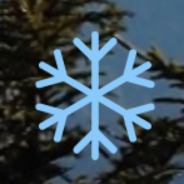 Special Educational Attractions