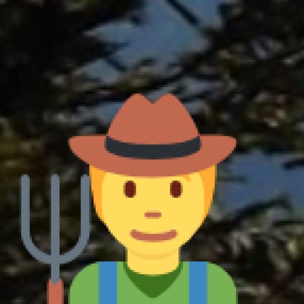 • Skill Development Programs: