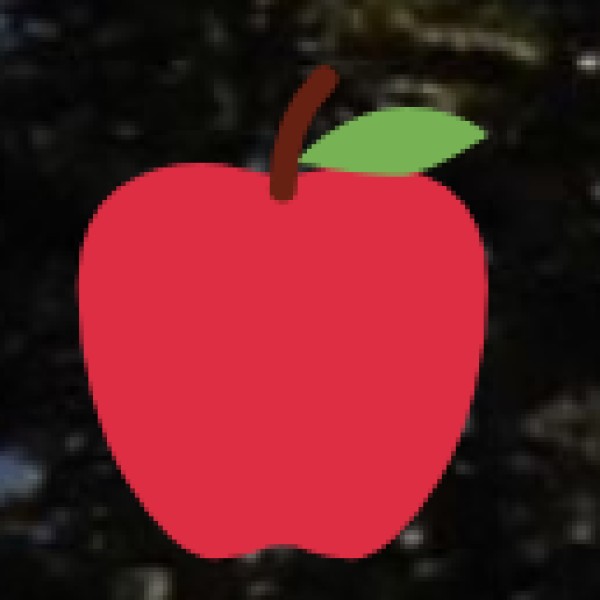 Jaipur – Academic & Research Hub