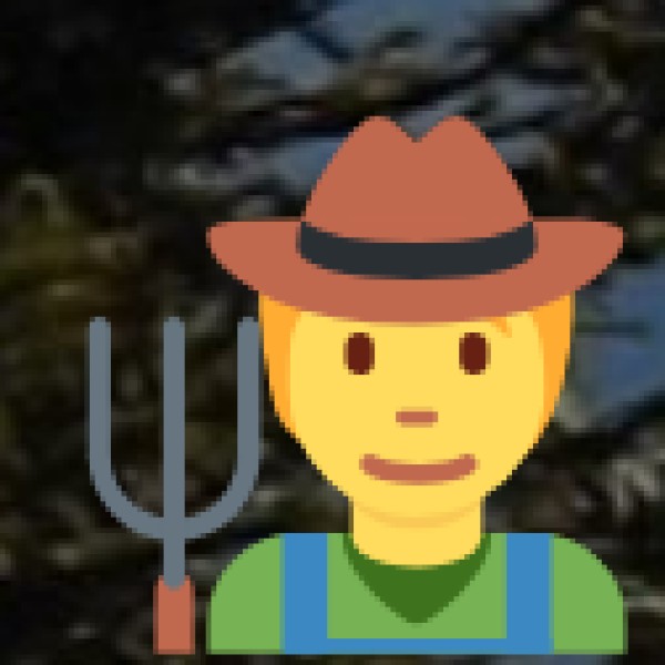 Yoga & Spiritual Education