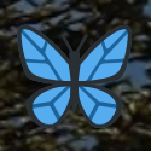 Popular Educational Activities