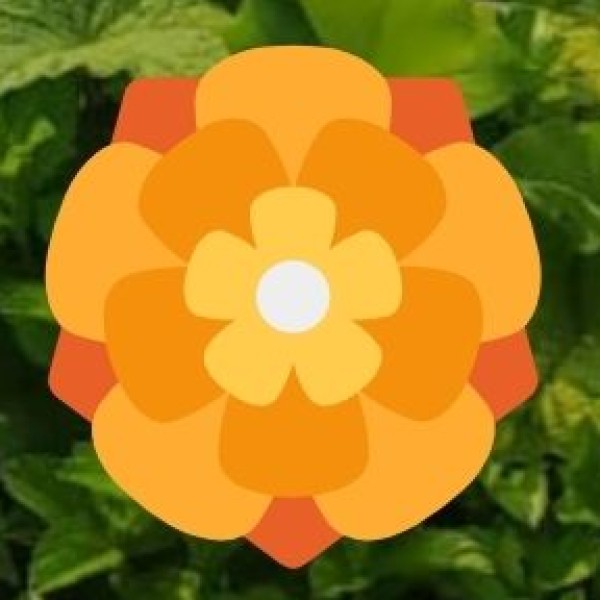 o Departments relevant to Educational Tourism: