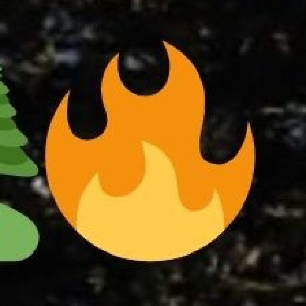 Connectivity & Facilities for Business Travelers