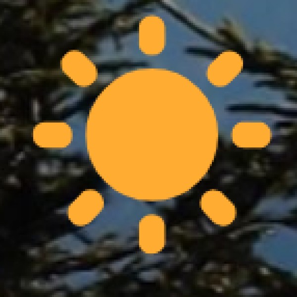 Government Initiatives