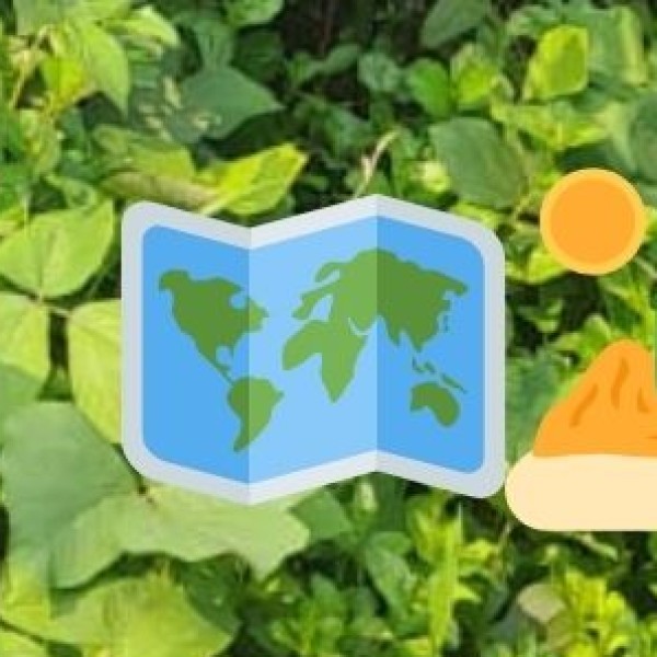 3. Historical & Cultural Learning Centers: