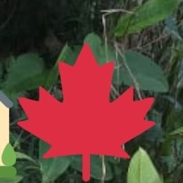 Educational Tourist Activities: