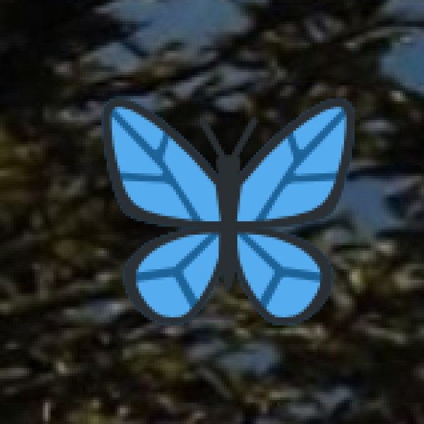 Focus Areas for Educational Tourism: