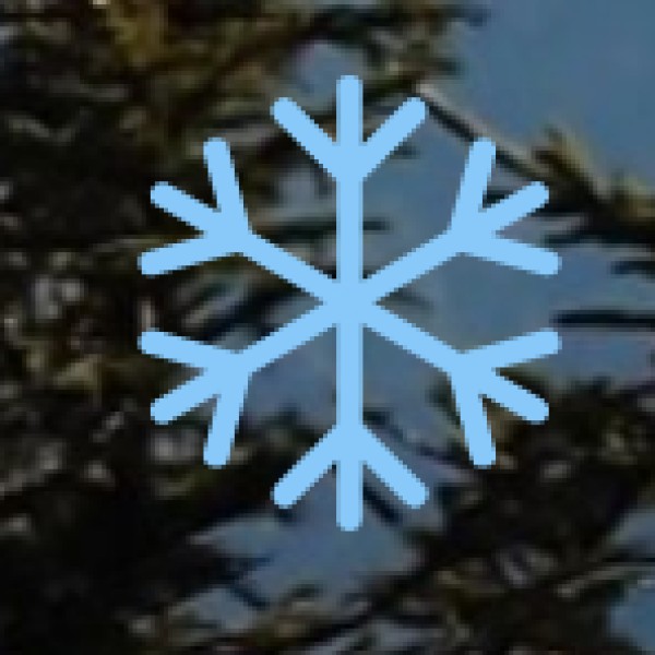 o Team Building & Incentives: