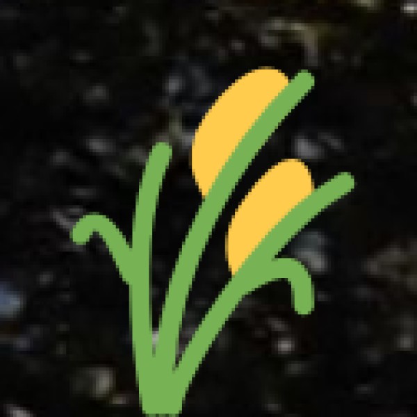 Agriculture and Agribusiness