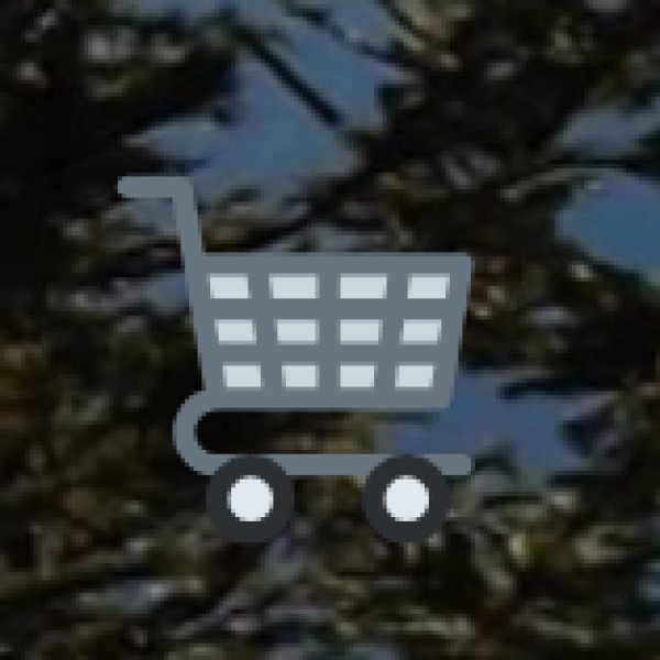 • Infrastructure Development: