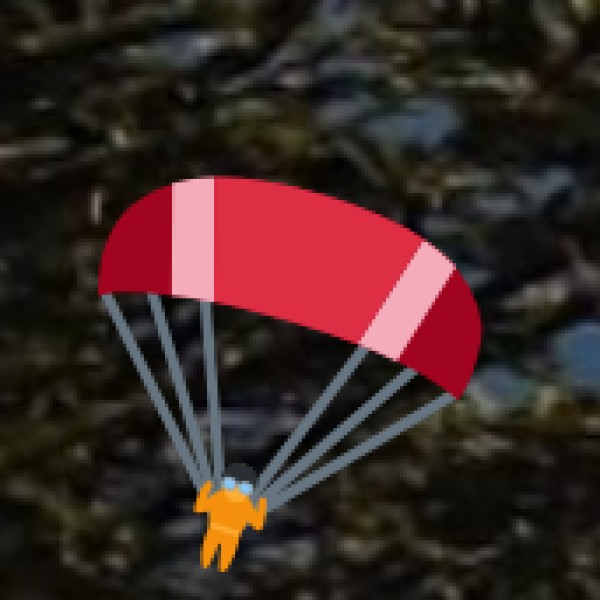 Tourism Policy and Industry Status