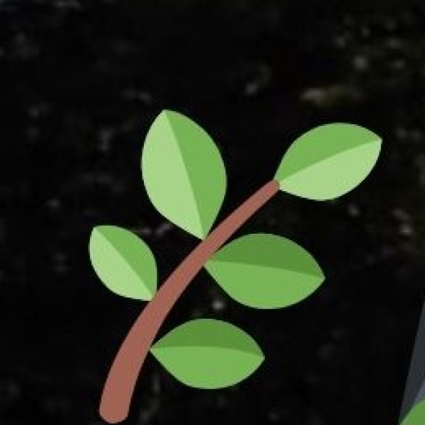 Tea Tourism and Plantation Economy