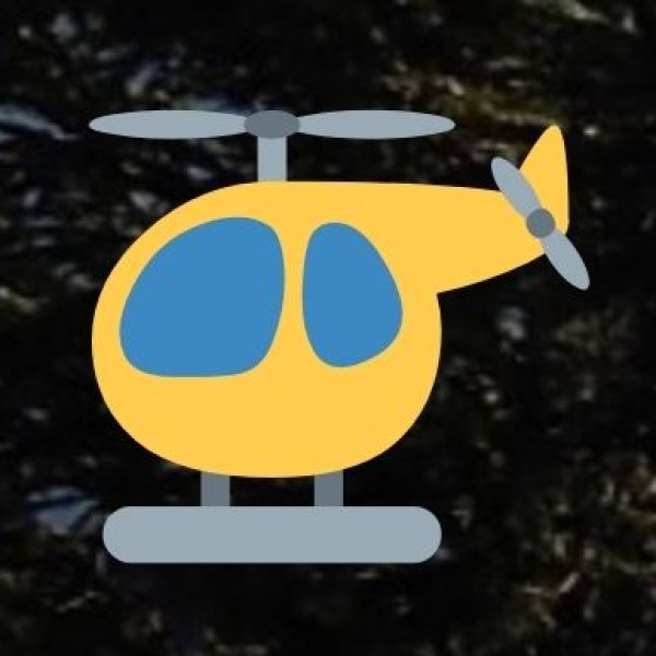 • Institutes for Travel & Tourism: