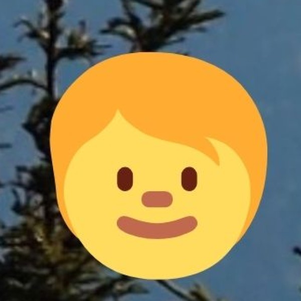 International Institute of Information Technology (IIIT-H)