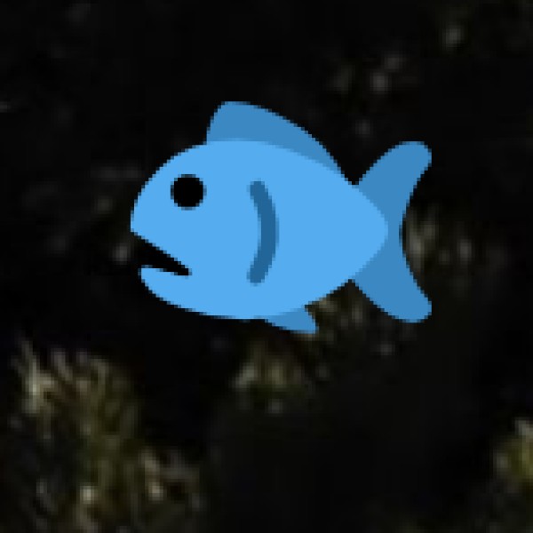 Chakhwi