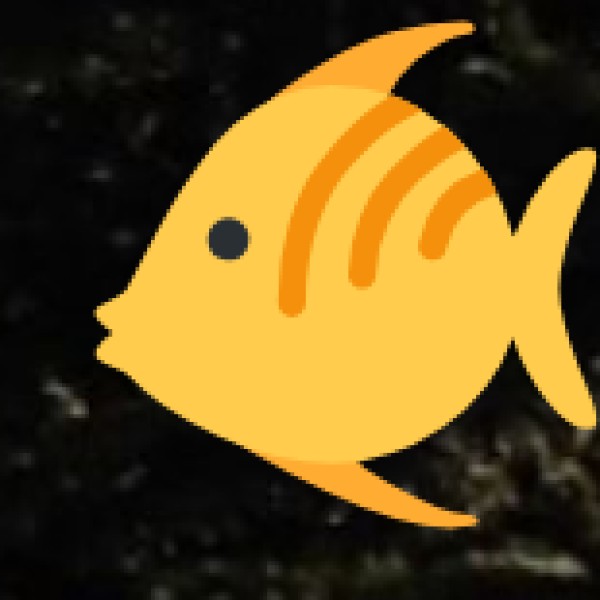 Fish Curry