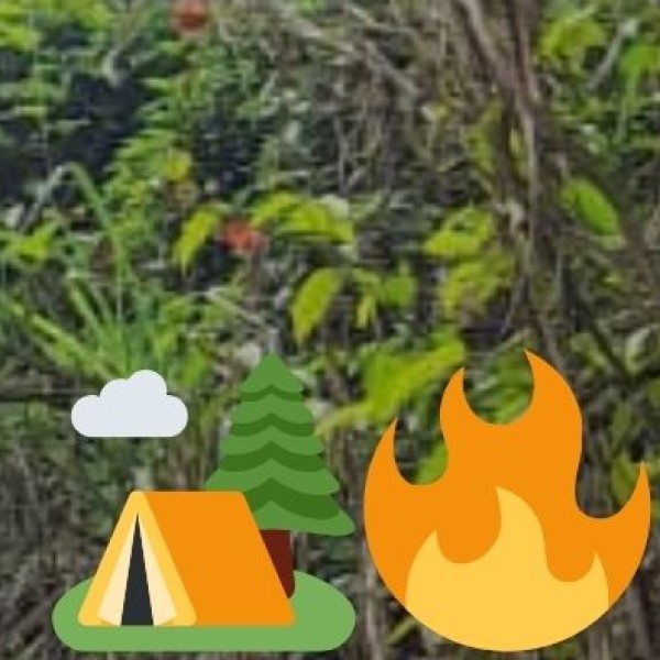 Agriculture & Spice Plantations in Goa,