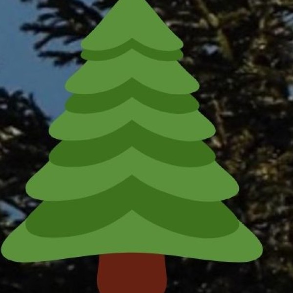 SPICE PLANTATIONS — THE GROWING SECTOR