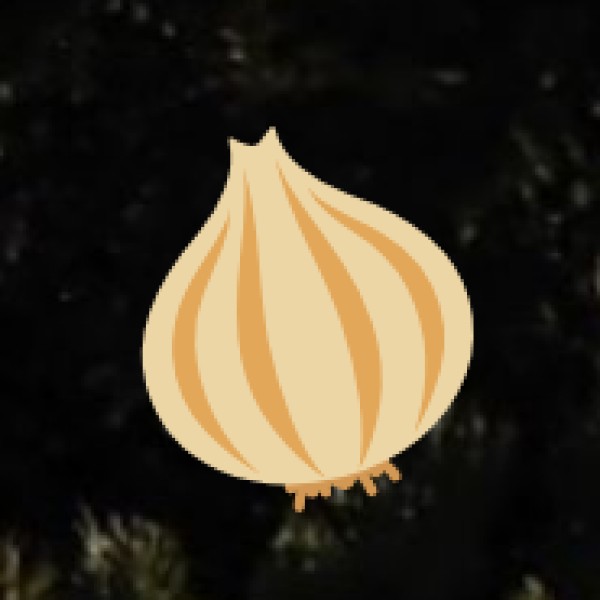 Spices in Daman & Diu: