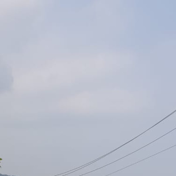 Agriculture Around Delhi