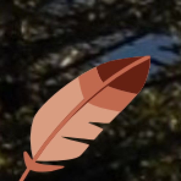 Sustainable and Modern Practices