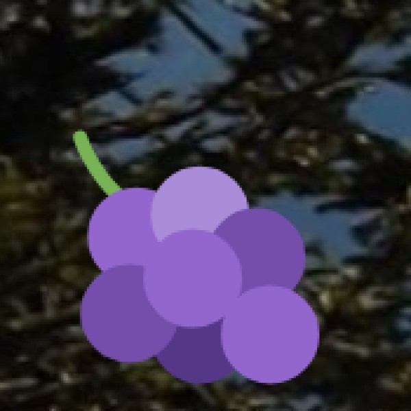 • Horticultural Crops (Fruits & Vegetables):