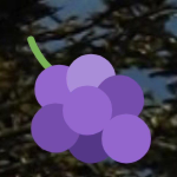 Horticulture & Fruits