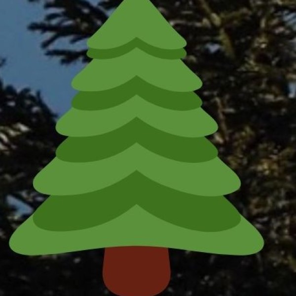 Coconut & Plantation Crops