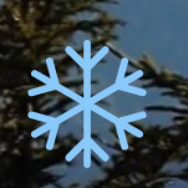 GOVERNMENT INITIATIVES & SUPPORT