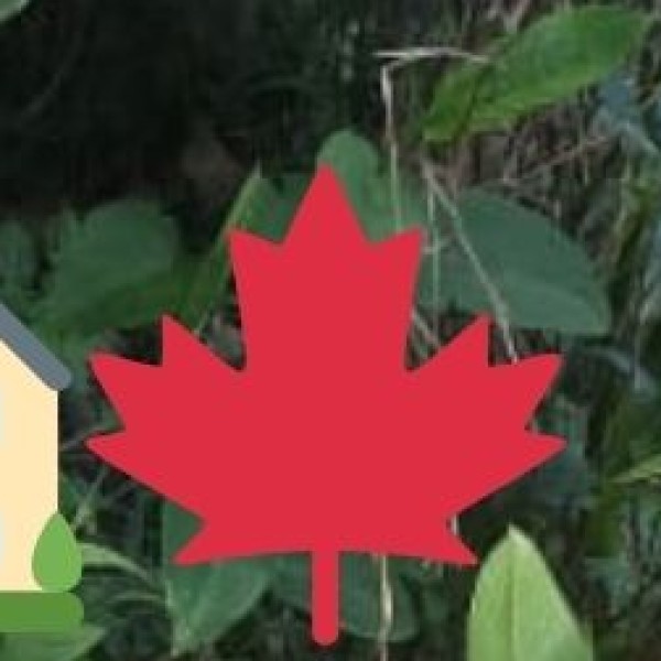 Agriculture & Spice Plantations