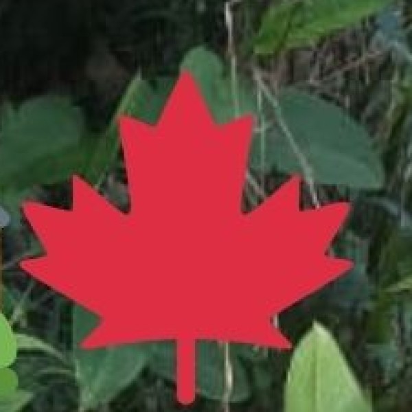 Key Agricultural Crops & Exports